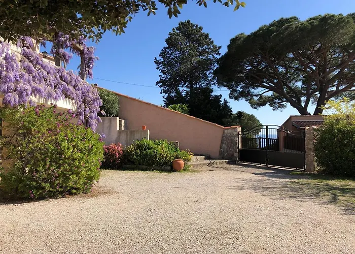 Lilause * Hyères