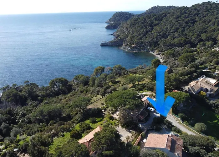 Lilause Hyères