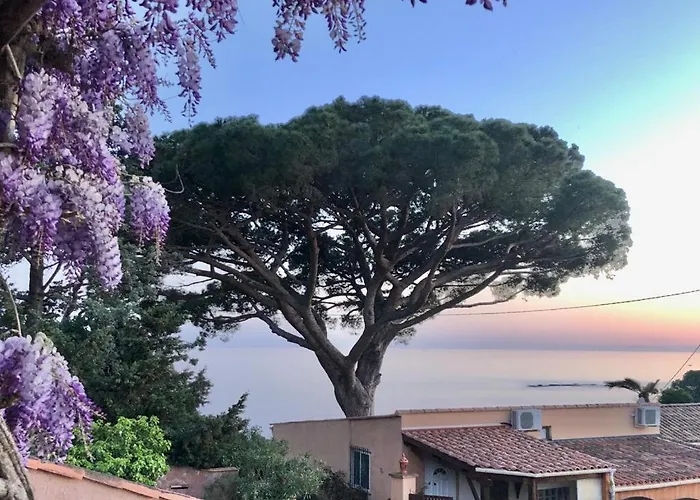 Lilause * Hyères
