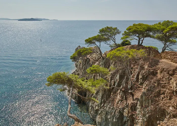 Lilause Hyères