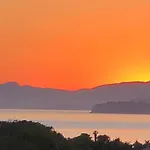 Lilause Hyères