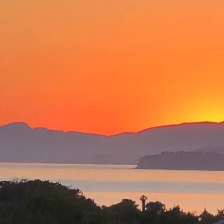 Lilause Hyeres