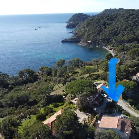 Lilause Hyeres