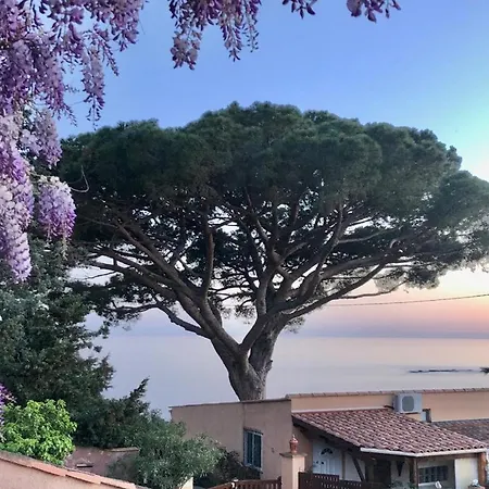 Lilause * Hyeres