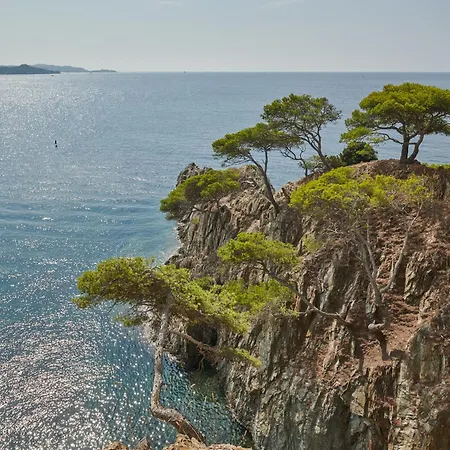 Lilause Hyeres