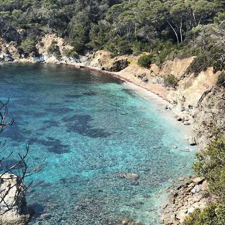 Lilause * Hyeres